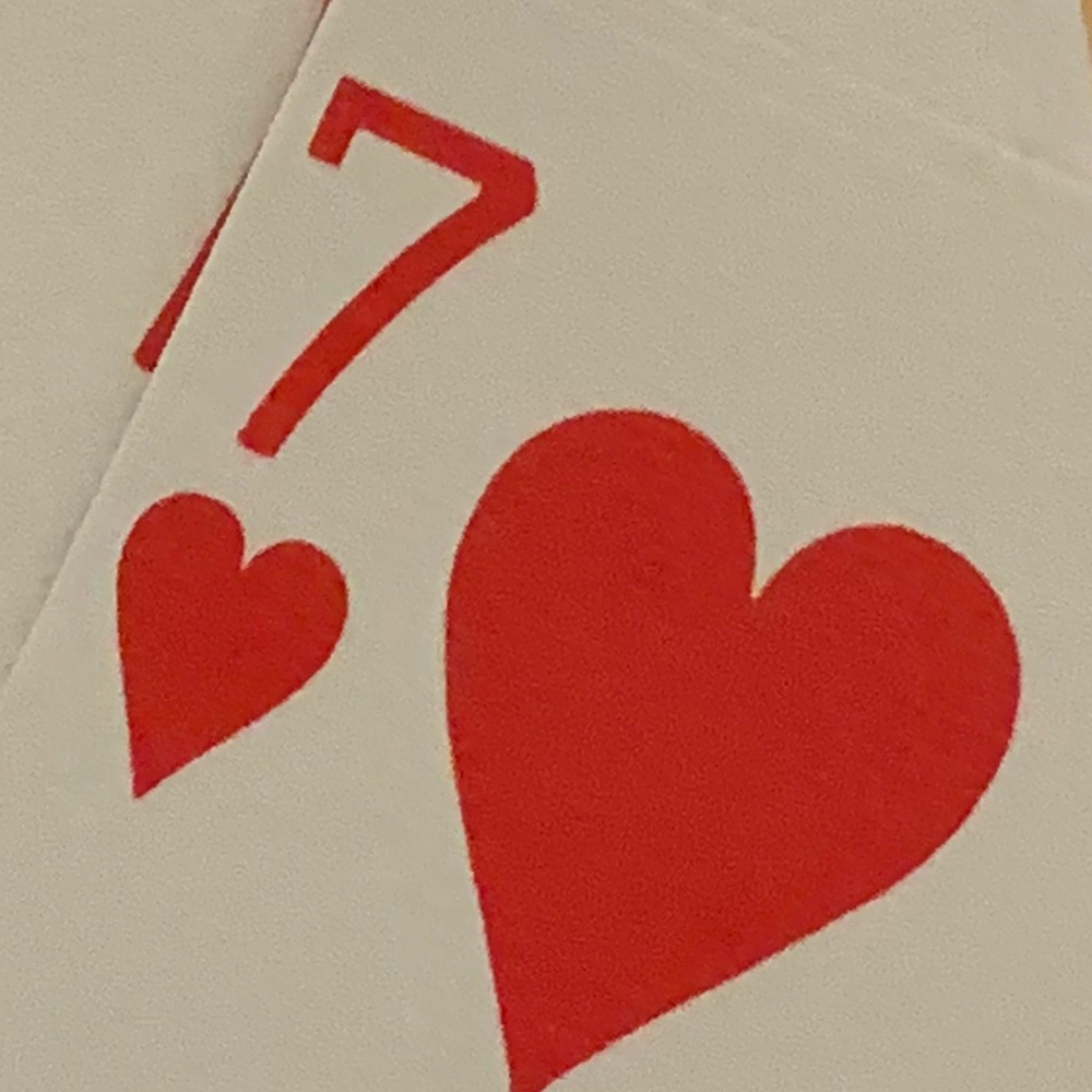 Meet your Posher, Hedi